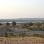 Elephant kills two female tourists from the UK and New Zealand in Zambian national park